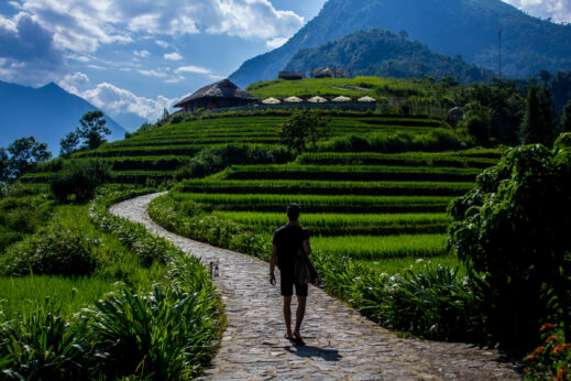 Sapa rice terraces, VIetnam