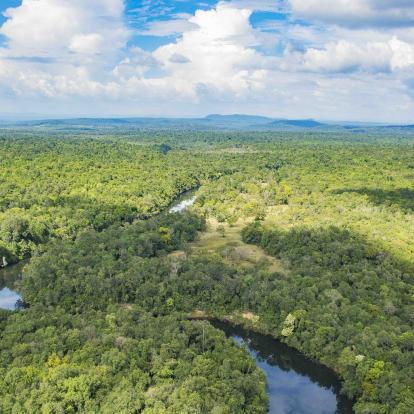 Vast expanse of forested plains in Botum Sakor National Park, with a river meandering among the trees