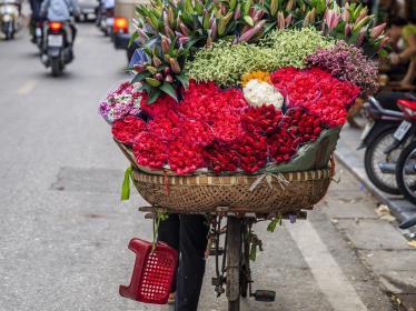Flowers balanced on bicycle in Hanoi